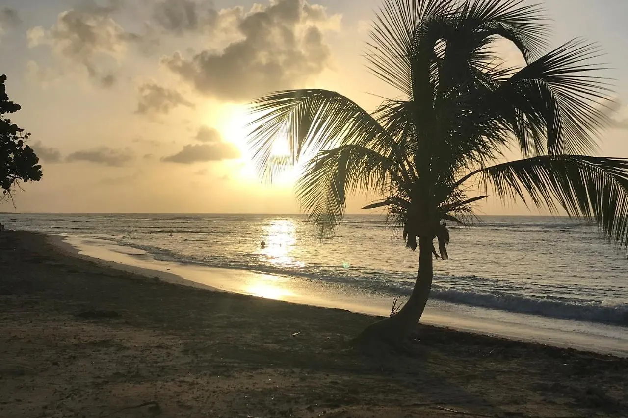 Studio Tahiti Vue Mer Saint-Francois  Guadeloupe
